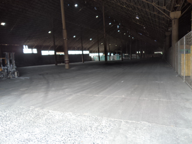 #20130227135136.JPG-1