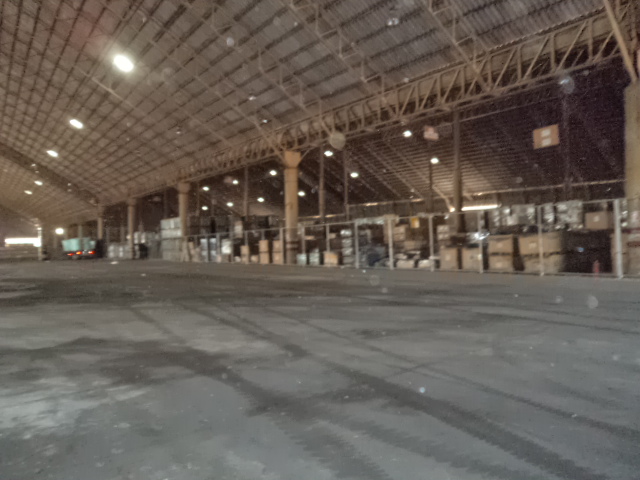 #20130227135244.JPG-2